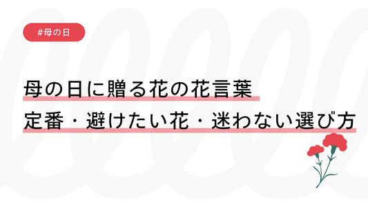 母の日に贈る花の花言葉｜定番・避けたい花・迷わない選び方