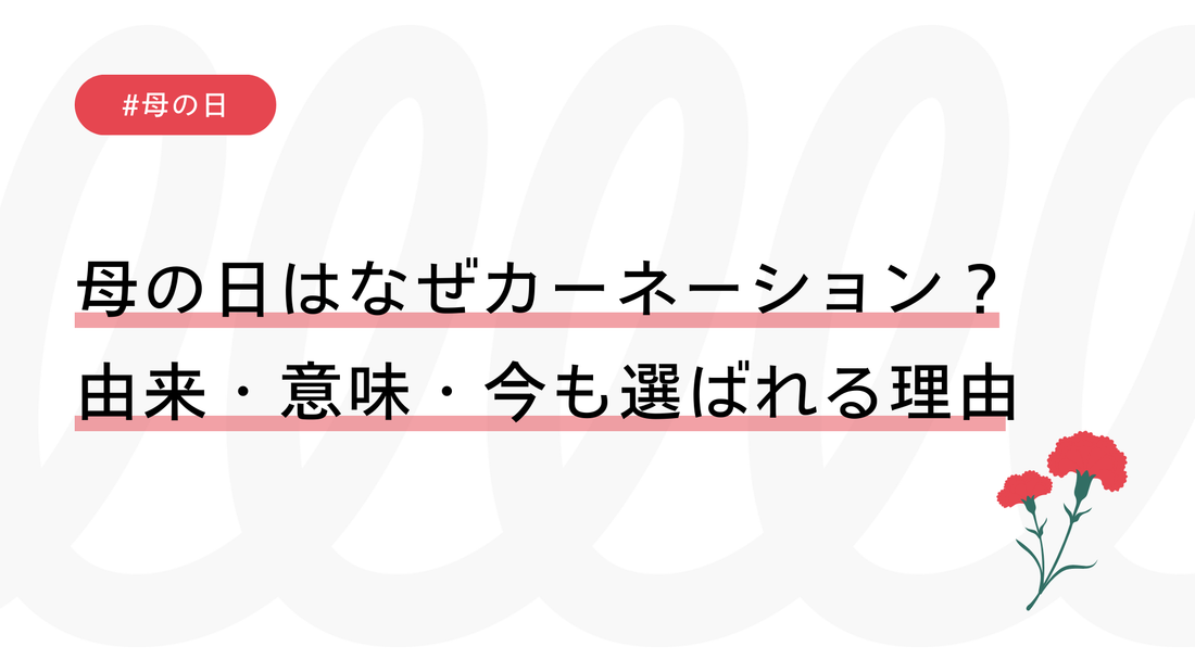 母の日はなぜカーネーション？由来・意味・今も選ばれる理由をわかりやすく解説